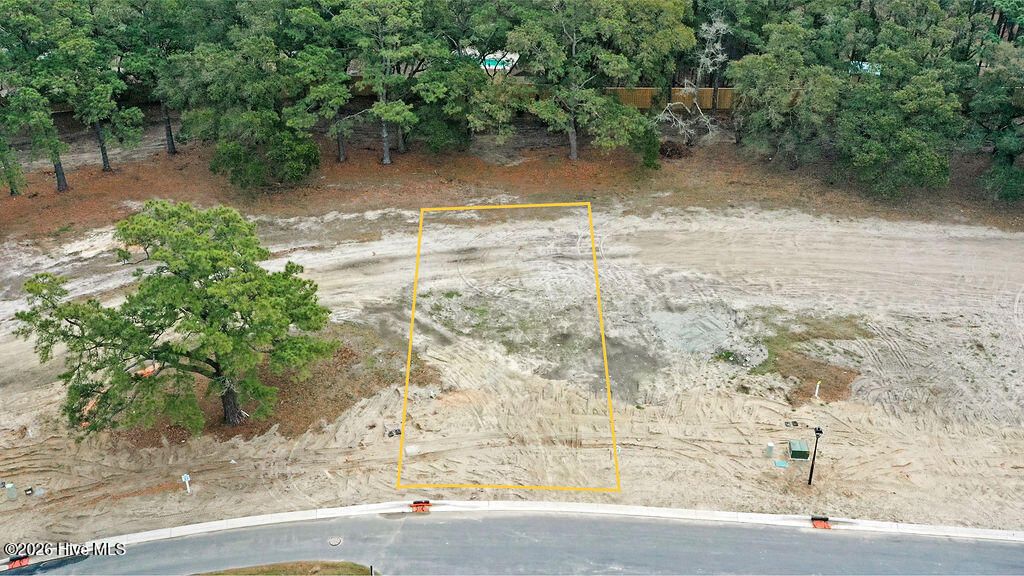 Photo of 259 E Wayfinder Lane, Hampstead, NC 28443 (MLS # 100560223)