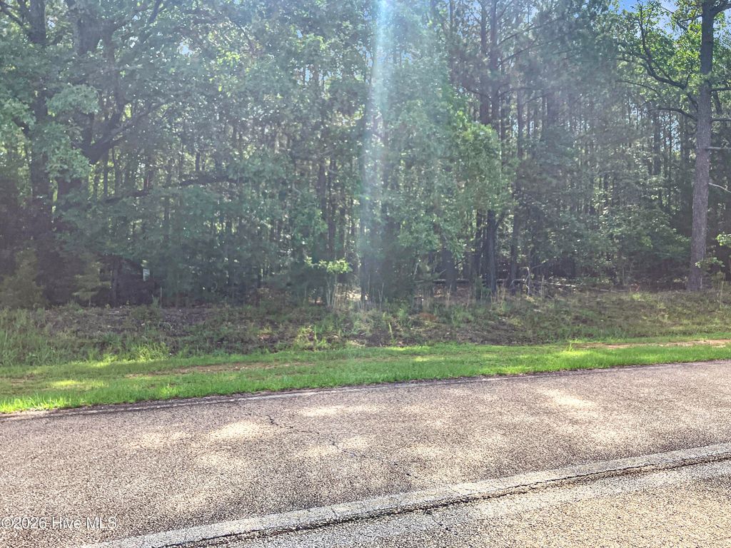 Photo of 1048 Clinton-Williams Road, Lincolnton, GA 30817 (MLS # 100577793)