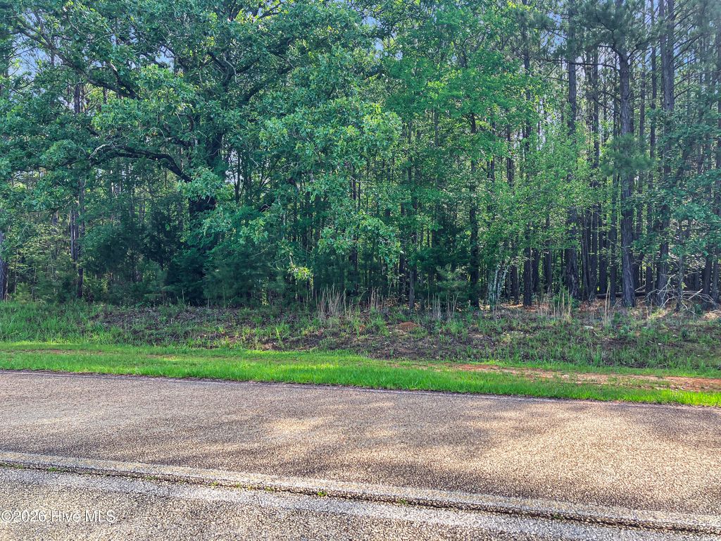Photo of 1048 Clinton-Williams Road, Lincolnton, GA 30817 (MLS # 100577793)