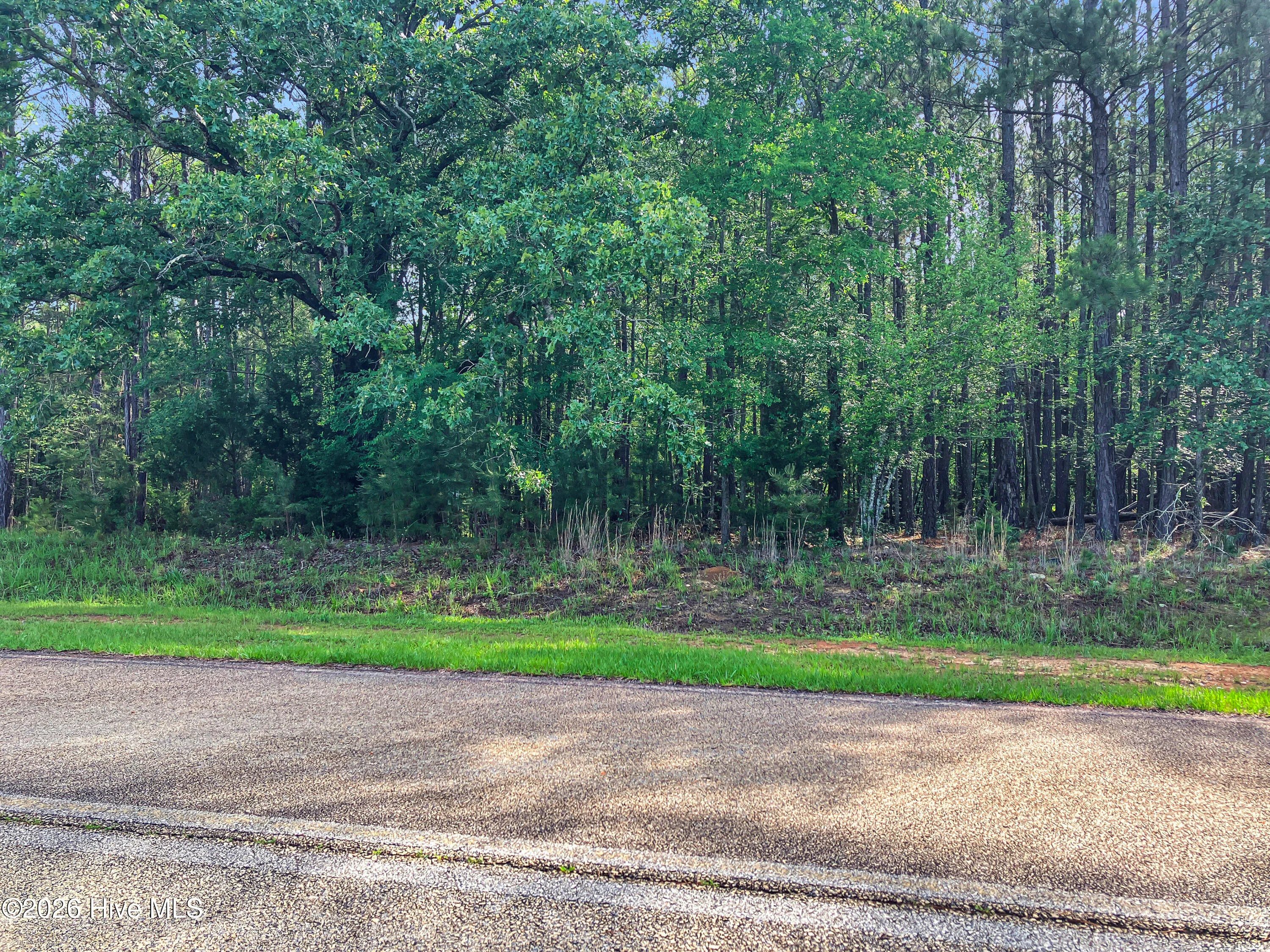 1048 Clinton-williams Road