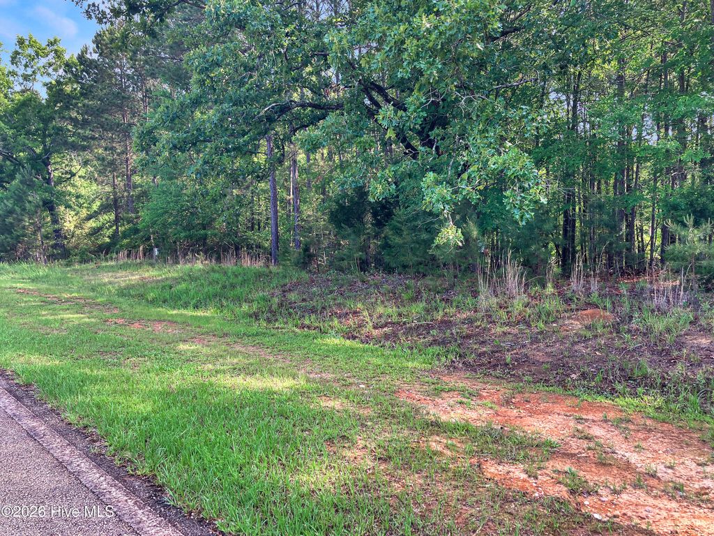 Photo of 1048 Clinton-Williams Road, Lincolnton, GA 30817 (MLS # 100577793)
