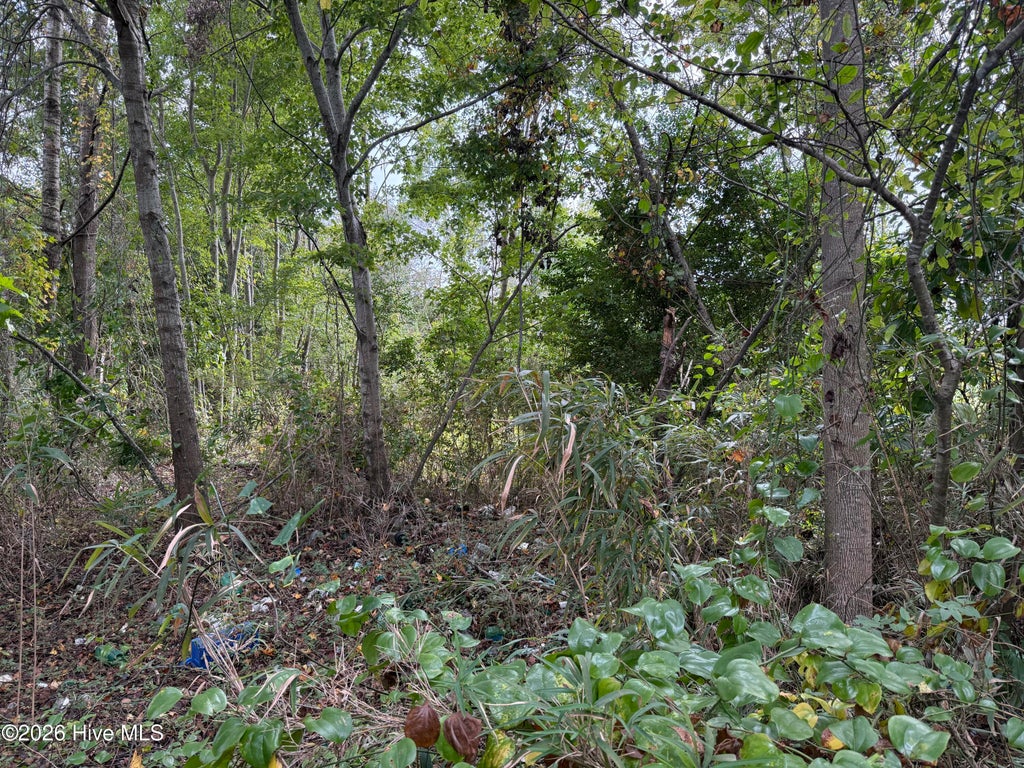 Photo of Parcel A Haywood Smith Road, Hertford, NC 27944 (MLS # 100608501)