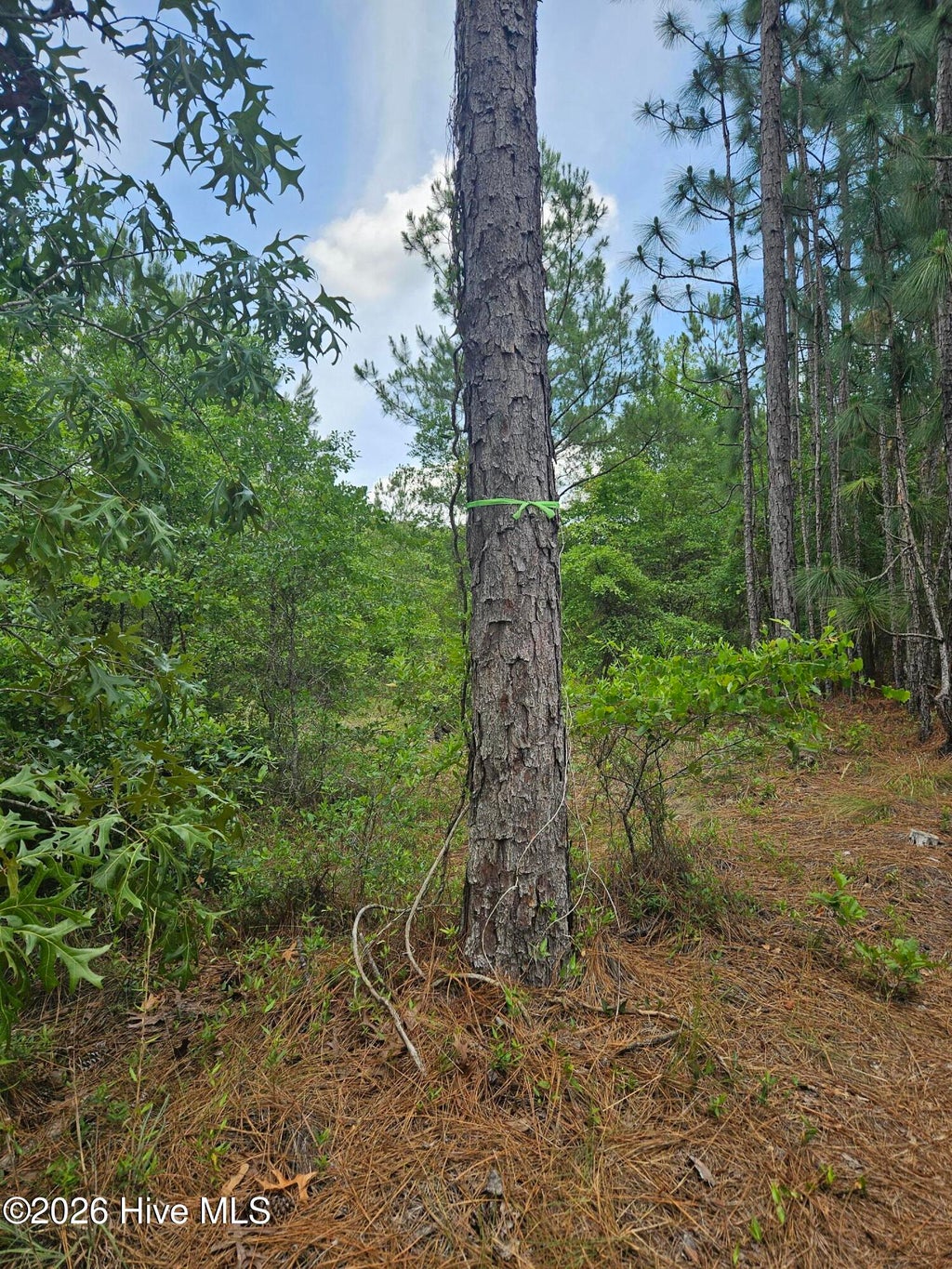 Photo of 0 Phoenix Parkway, Navassa, NC 28451 (MLS # 100587850)