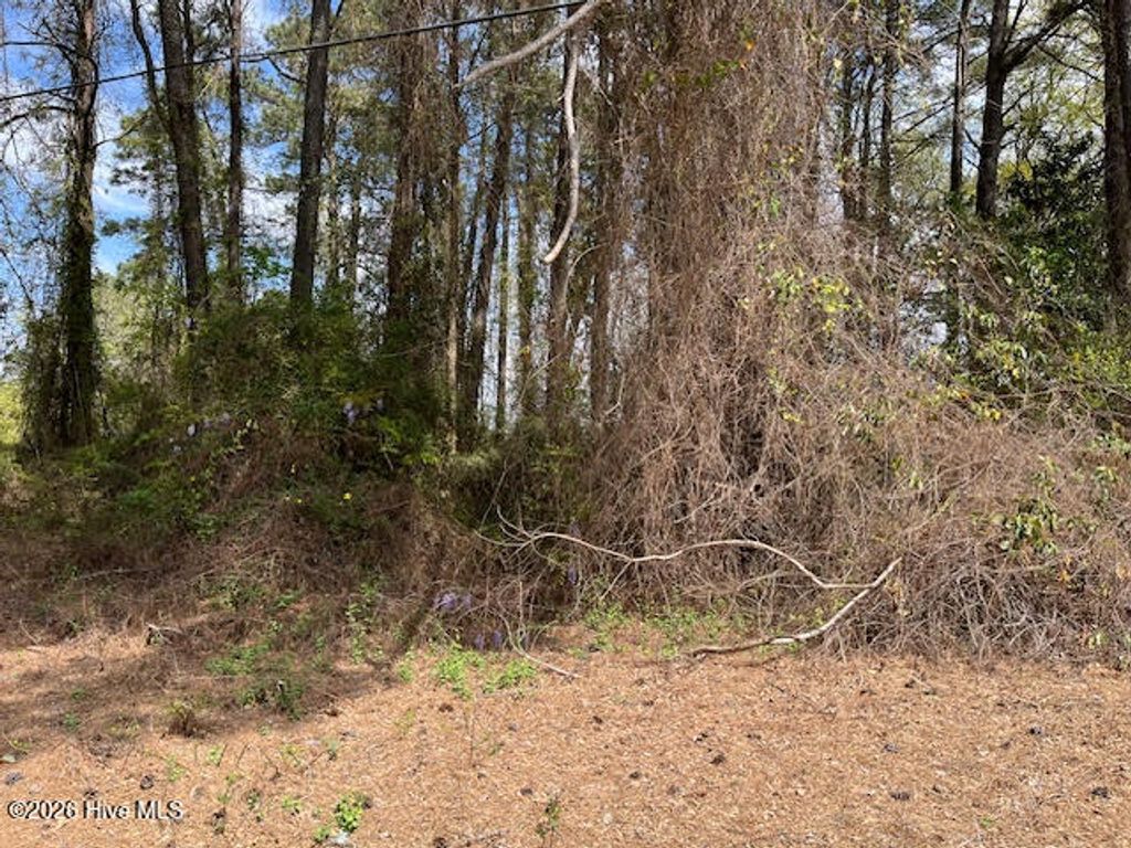 Photo of 00 Penny Branch Road, Warsaw, NC 28398 (MLS # 100562515)