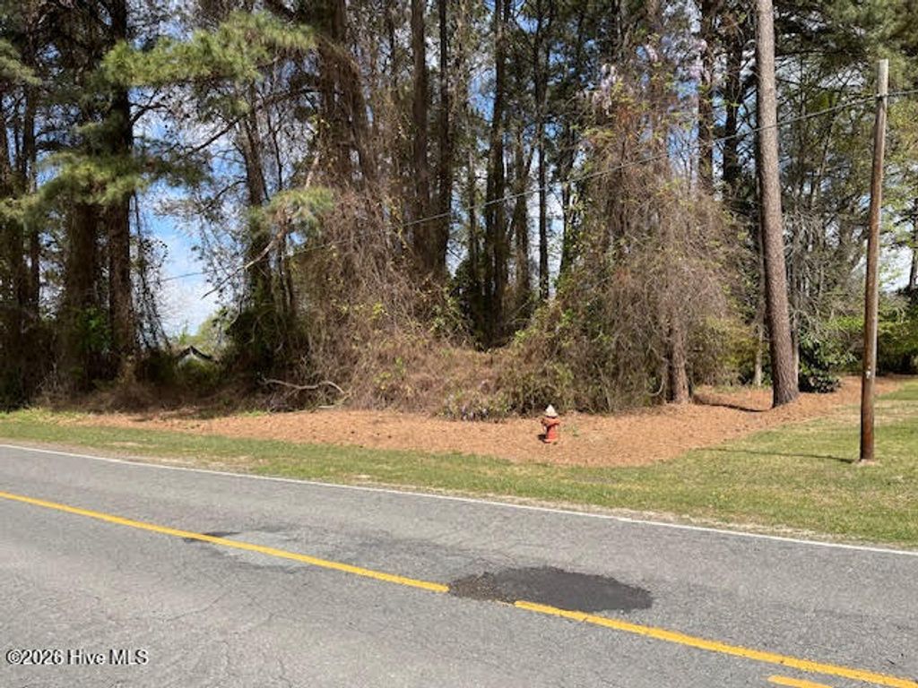 Photo of 00 Penny Branch Road, Warsaw, NC 28398 (MLS # 100562515)