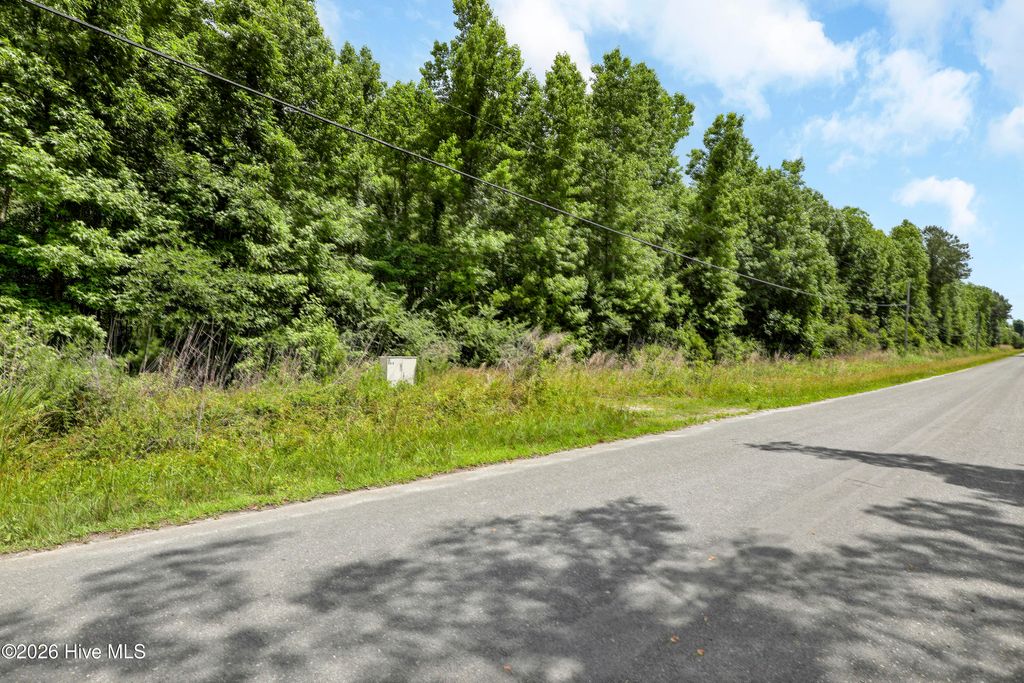 Photo of 4 Us Hwy 117, Burgaw, NC 28425 (MLS # 100577631)