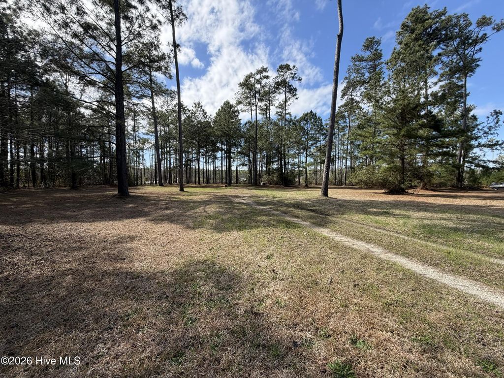 Photo of 104 Favorite Place, Belhaven, NC 27810 (MLS # 100560579)