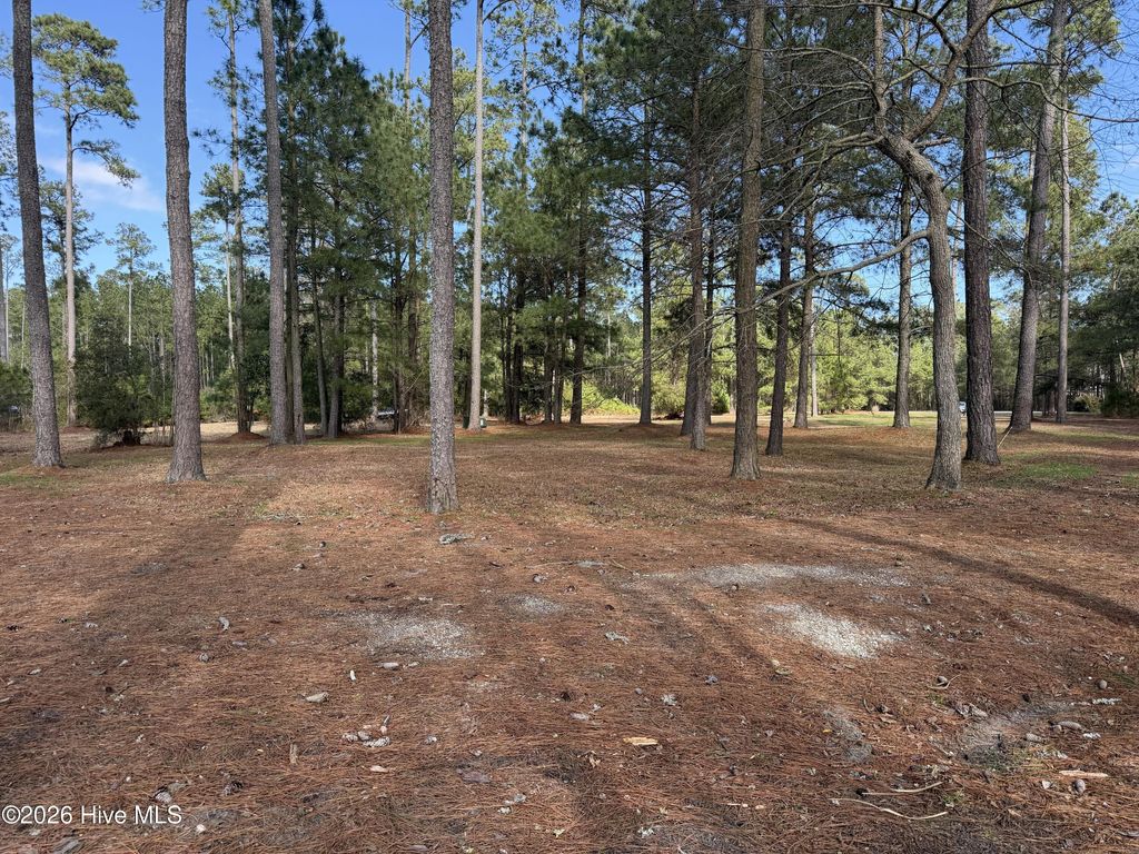 Photo of 104 Favorite Place, Belhaven, NC 27810 (MLS # 100560579)