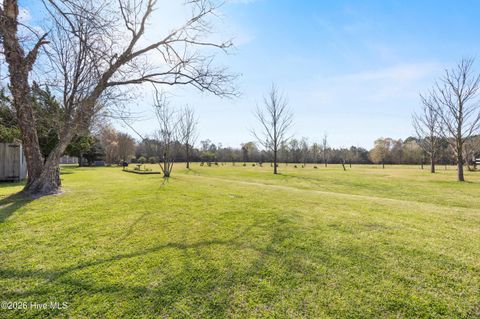 Tiny photo for 2222 John Henry Store Road, Currie, NC 28435 (MLS # 100562388)