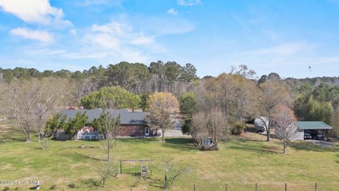 Tiny photo for 2222 John Henry Store Road, Currie, NC 28435 (MLS # 100562388)