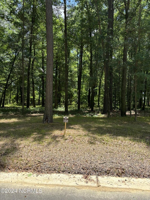 Vacant Land For Sale - 410 Old Forest Drive<br/> Castle Hayne, NC 28429