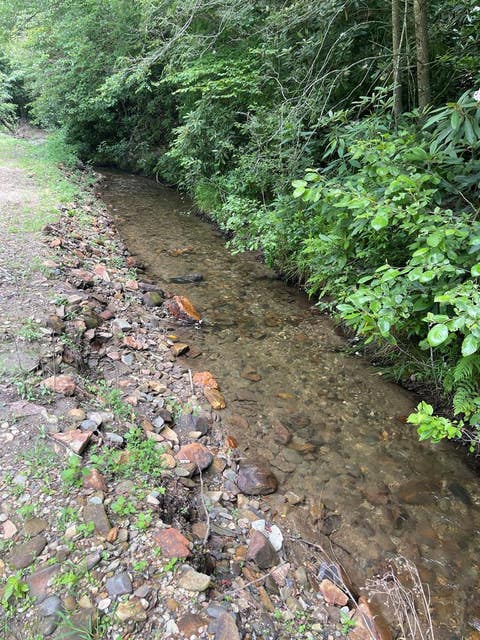 Vacant Land For Sale - 00 W Road Rd<br/> Andrews, NC 28901
