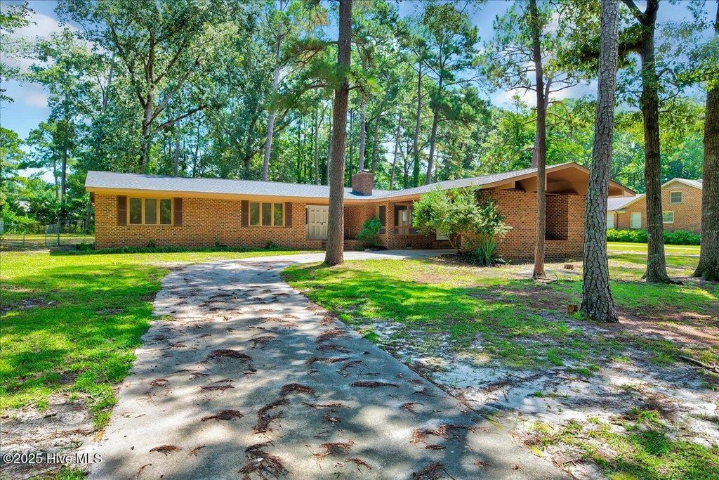 Photo of 2585 Cabin Branch Road, Kinston, NC 28504 (MLS # 100546594)