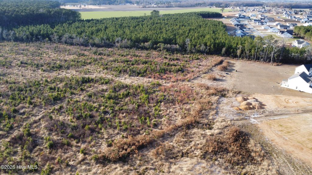 Photo of 31 Talton Estates Drive, Pikeville, NC 27863 (MLS # 100548268)