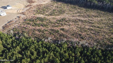 Vacant Land For Sale - LOT 31 Talton Estates Drive<br/> Pikeville, NC 27863