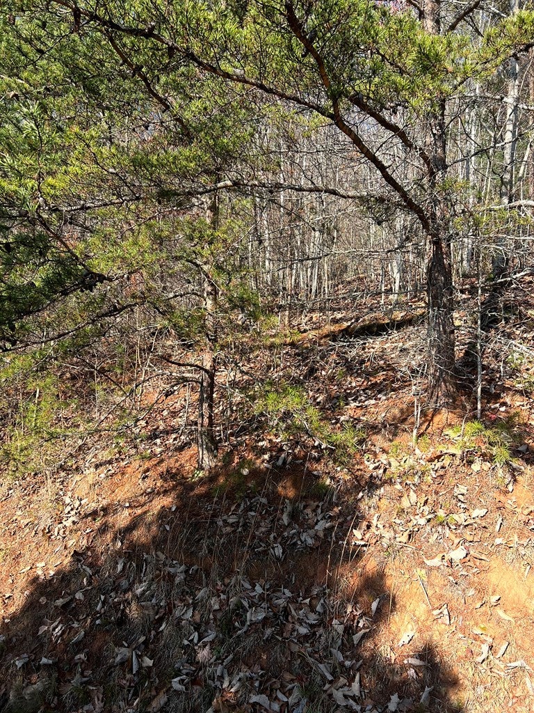 Lot 56c 56C Indian Trail - Photo 4