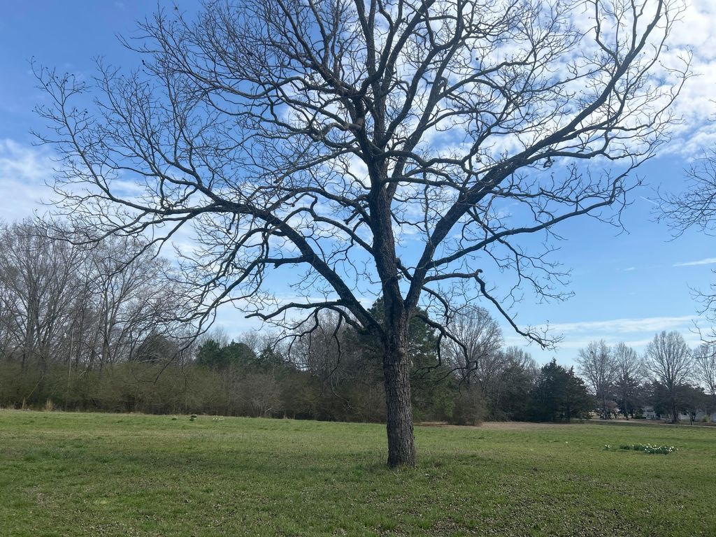 Photo of 1046 Holloway Road, Lincolnton, GA 30817 (MLS # 552764)