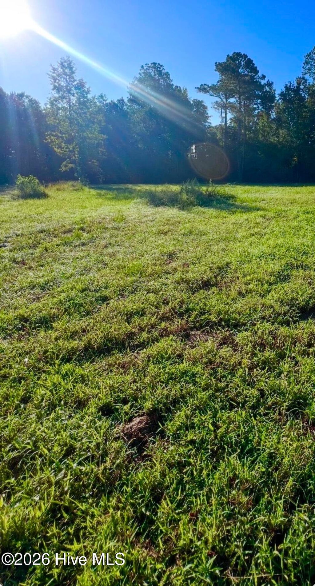 Photo of 411 Timberwind Lane SE, Leland, NC 28451 (MLS # 100602148)