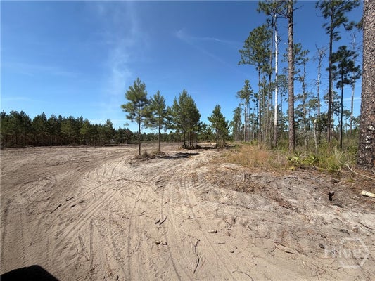 184 OLD DIXIE HWY, SPRINGFIELD, GA 31329 - Image c2f2f2cda9269627092f8d17dc3066cd/3304185342
