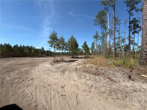 Vacant Land For Sale - 00 Old Dixie Hwy<br/> Springfield, GA 31329