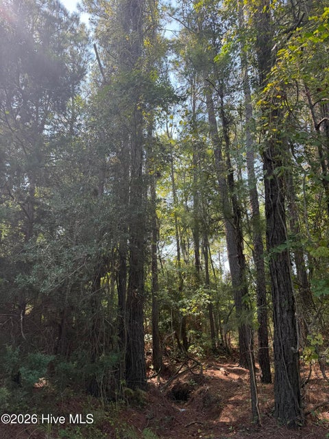 Tiny photo for 2857 Robin Drive SW, Shallotte, NC 28470 (MLS # 100598842)