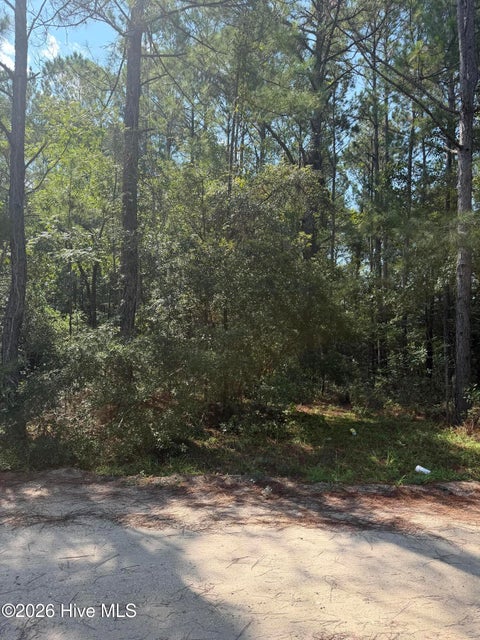 Tiny photo for 2857 Robin Drive SW, Shallotte, NC 28470 (MLS # 100598842)