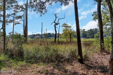 Tiny photo for 63086314 Timber Creek Lane, Wilmington, NC 28411 (MLS # 100596390)