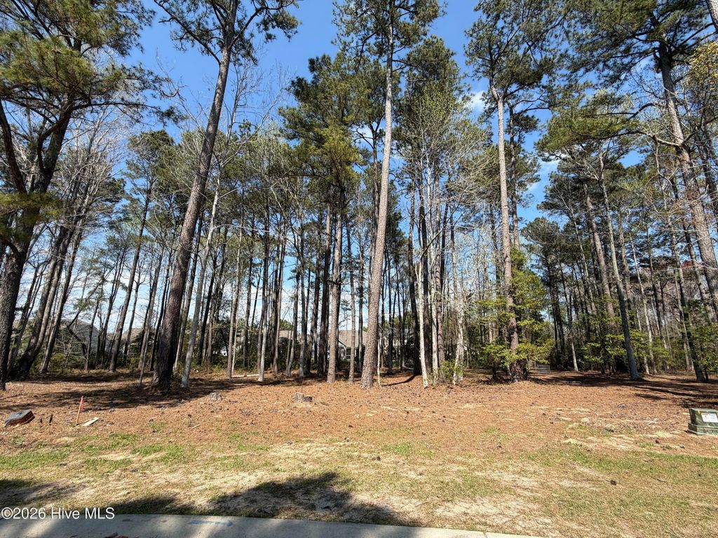 Photo of 6790 Hanbury Place SW, Ocean Isle Beach, NC 28469 (MLS # 100569755)