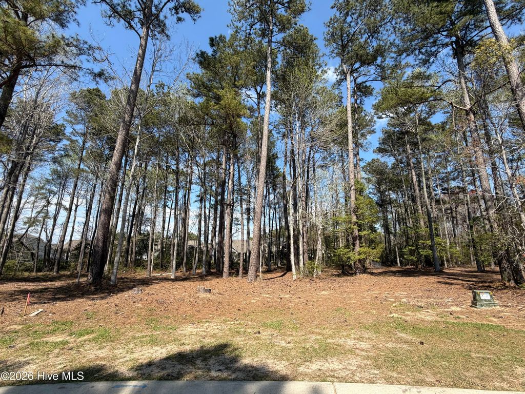 Photo of 6790 Hanbury Place SW, Ocean Isle Beach, NC 28469 (MLS # 100569755)