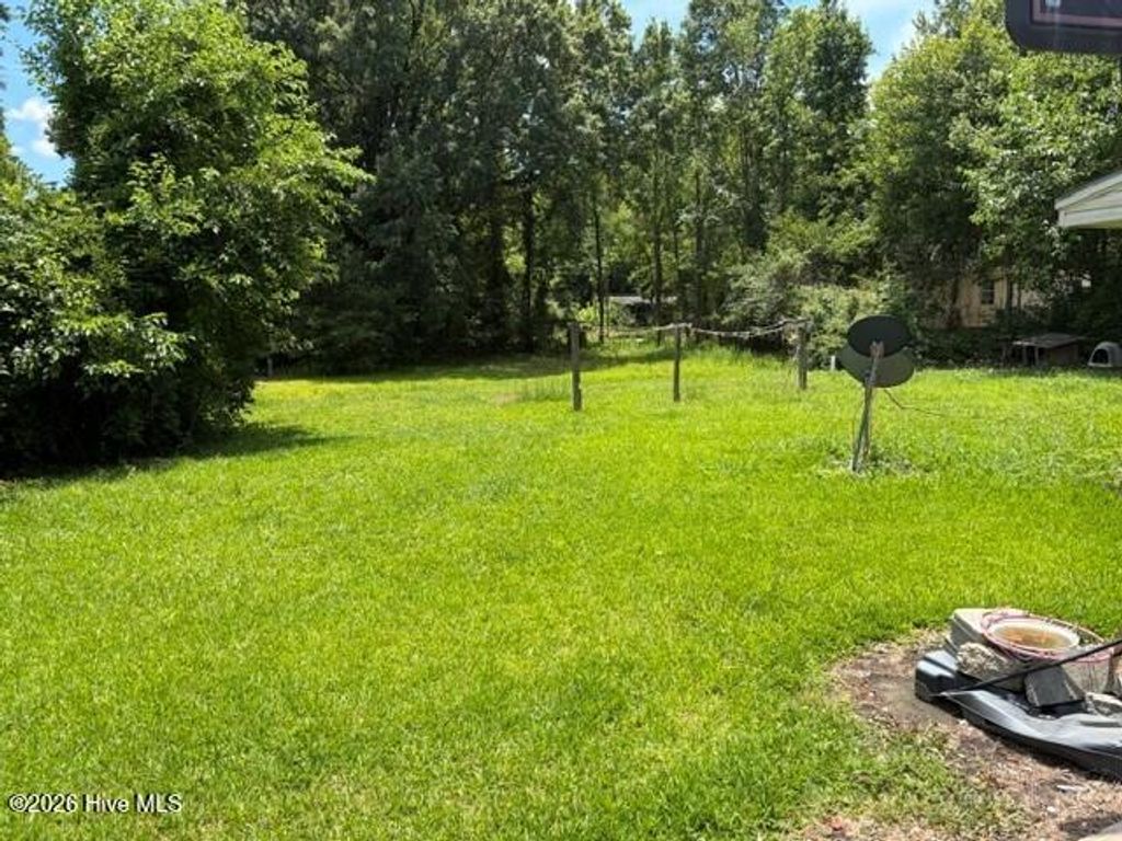 Photo of 703 W Church Street, Lewiston Woodville, NC 27849 (MLS # 100585206)