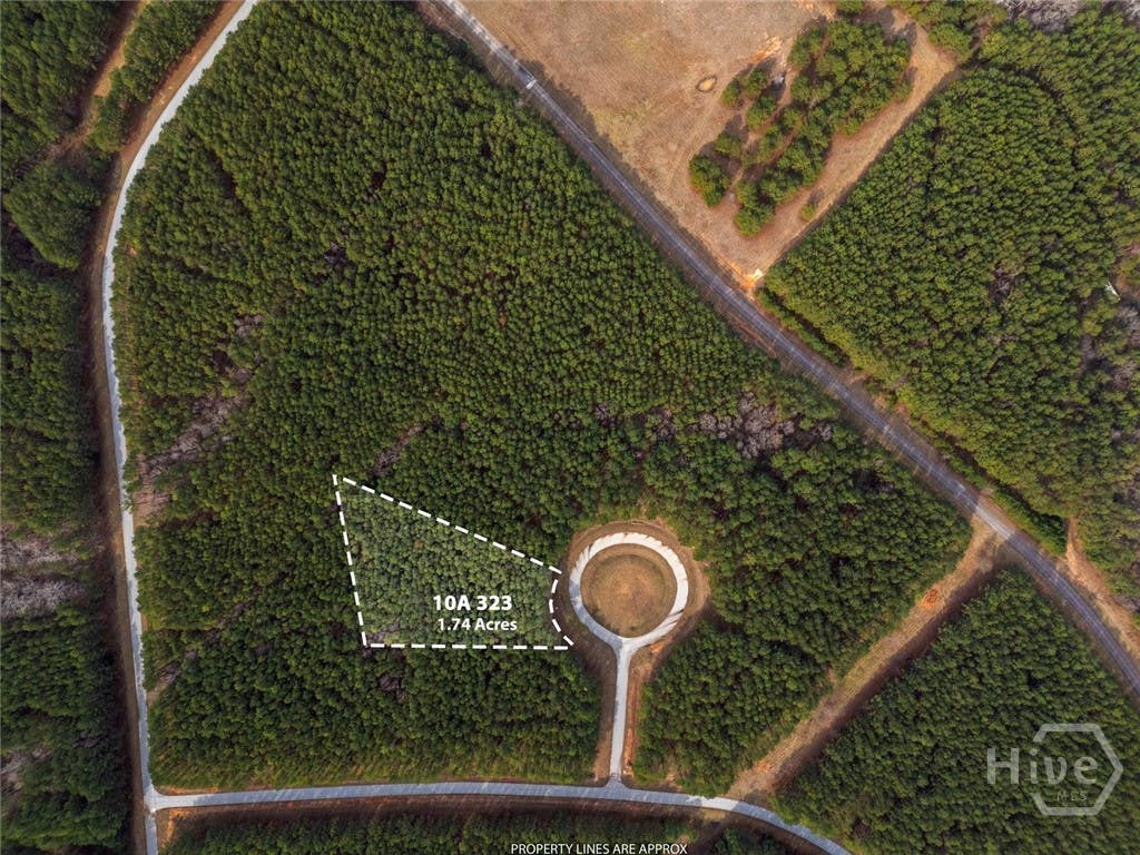 Photo of 0 Magnolia Court, Tignall, GA 30668 (MLS # CL361188)