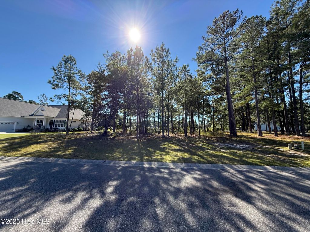 Photo of 3705 Little Berry Place NE, Leland, NC 28451 (MLS # 100537024)