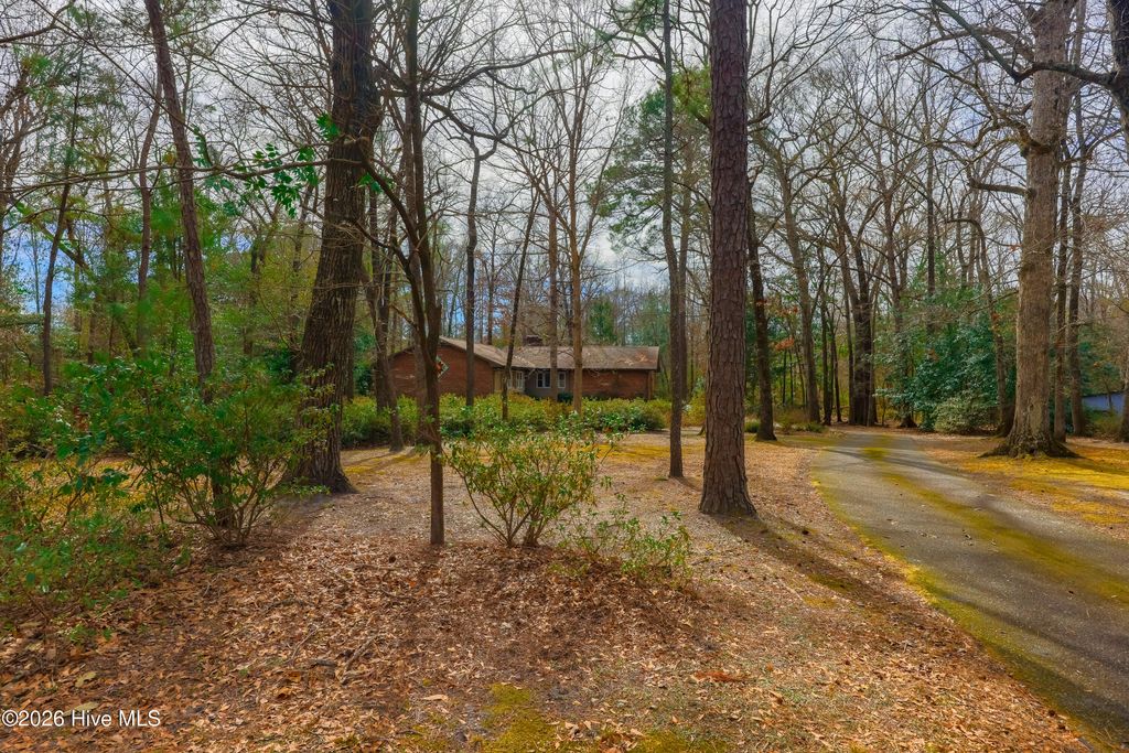 Photo of 163 Washington Circle, Wallace, NC 28466 (MLS # 100555113)