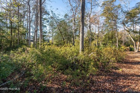 Tiny photo for 1872 Healing Water Lane SW, Supply, NC 28462 (MLS # 100546445)