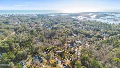 Tiny photo for 1872 Healing Water Lane SW, Supply, NC 28462 (MLS # 100546445)