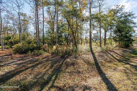 Tiny photo for 1872 Healing Water Lane SW, Supply, NC 28462 (MLS # 100546445)