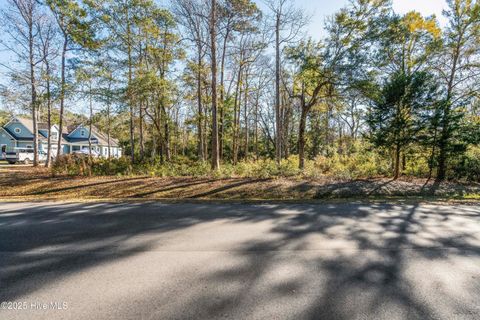 Tiny photo for 1872 Healing Water Lane SW, Supply, NC 28462 (MLS # 100546445)