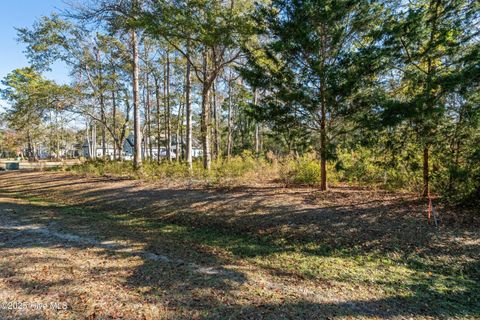 Tiny photo for 1872 Healing Water Lane SW, Supply, NC 28462 (MLS # 100546445)