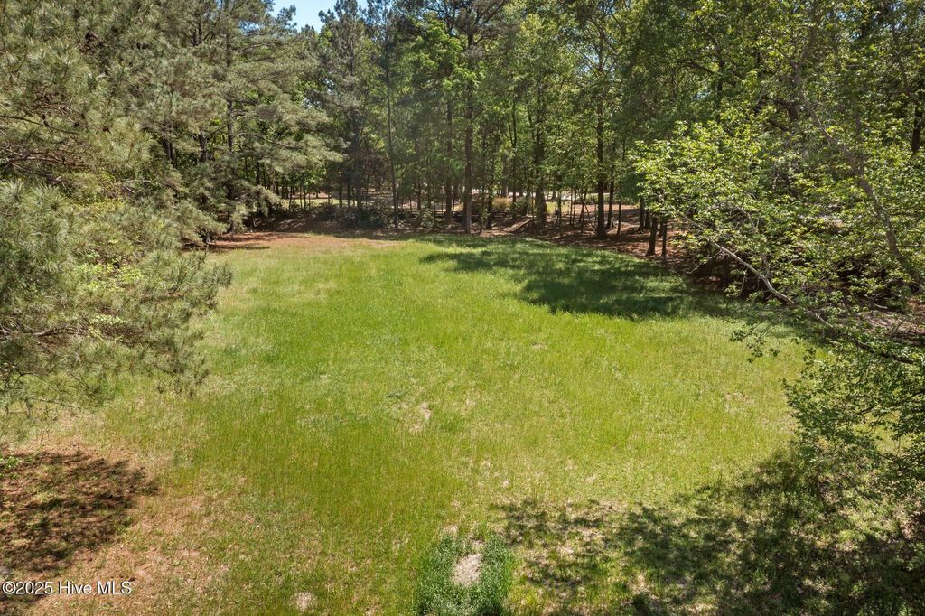 Photo of 108 Firefly Drive, Wallace, NC 28466 (MLS # 100501069)