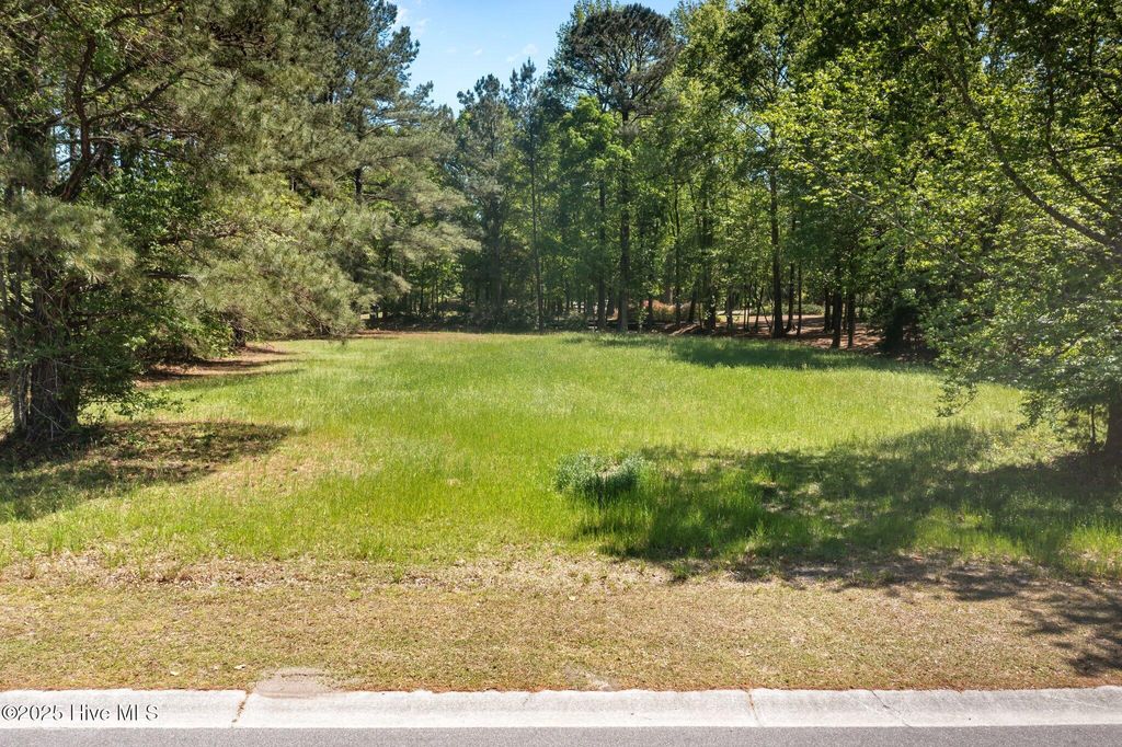 Photo of 108 Firefly Drive, Wallace, NC 28466 (MLS # 100501069)