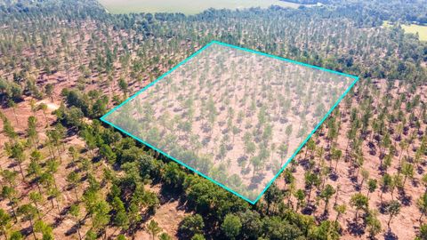 Vacant Land For Sale - LOT 5 Bluffwood Road<br/> Wagener, SC 29164