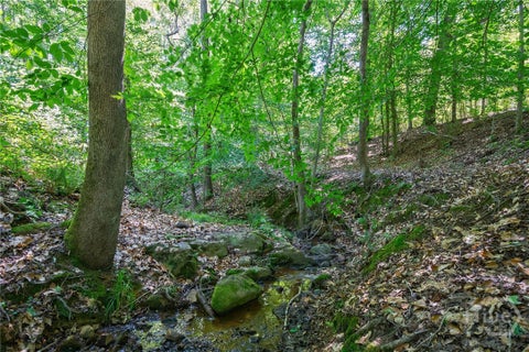 Vacant Land For Sale - 4918 Lower Mill Road<br/> Crawfordville, GA 30631