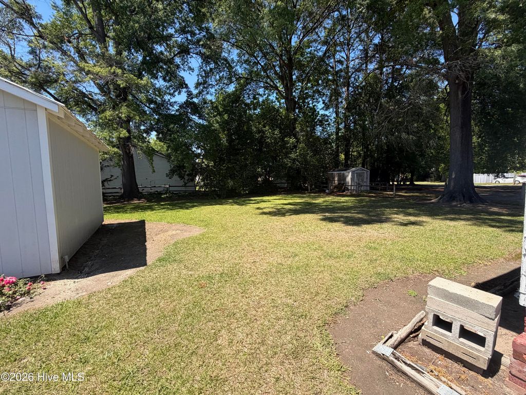 Photo of 209 N Pollock Street, Selma, NC 27576 (MLS # 100575161)