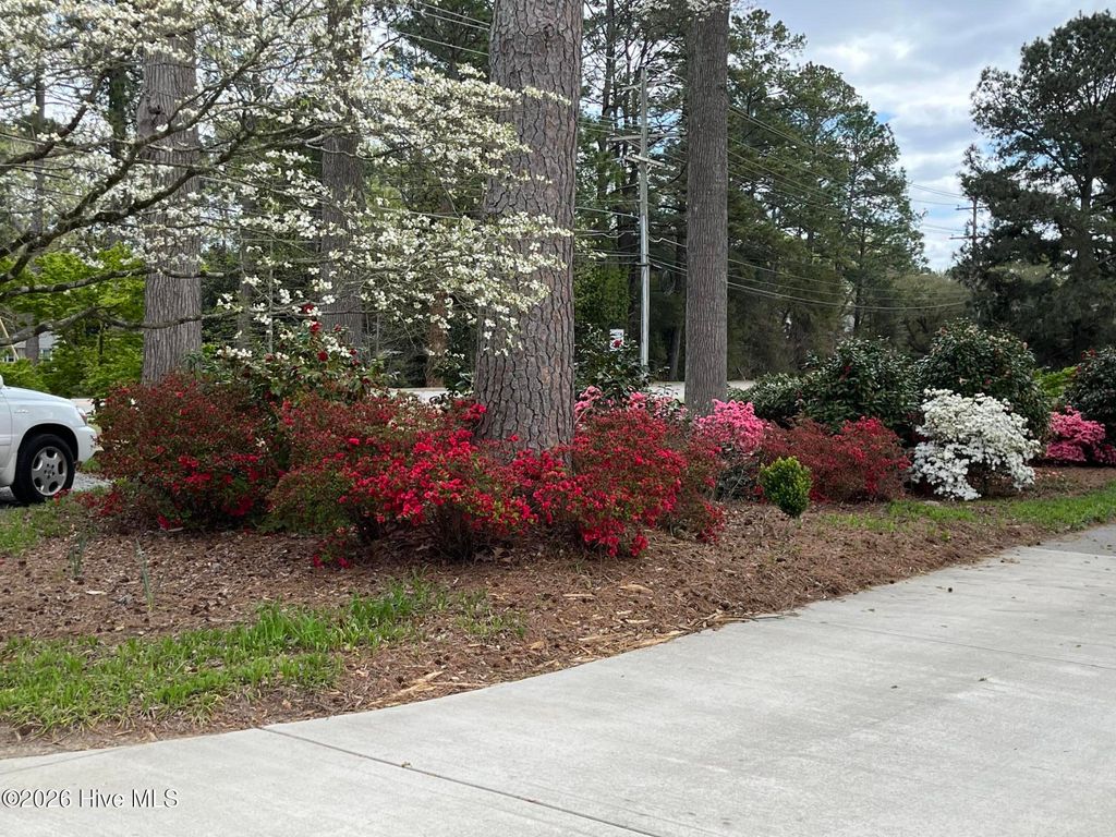 Photo of 5946 May Boulevard, Farmville, NC 27828 (MLS # 100565821)