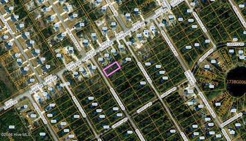 Vacant Land For Sale - L 12 Rockingham Road<br/> Boiling Spring Lakes, NC 28461