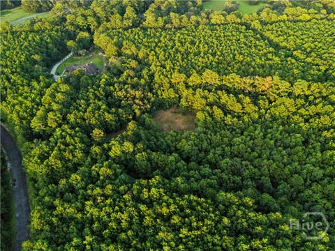 Vacant Land For Sale - 105 Sanctuary Cross Drive<br/> Savannah, GA 31419