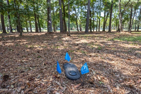 Tiny photo for 3167 Fairway 3 Court SW, Supply, NC 28462 (MLS # 100600997)