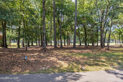 Tiny photo for 3167 Fairway 3 Court SW, Supply, NC 28462 (MLS # 100600997)