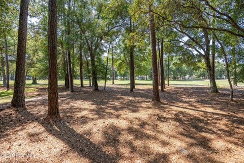 Tiny photo for 3167 Fairway 3 Court SW, Supply, NC 28462 (MLS # 100600997)