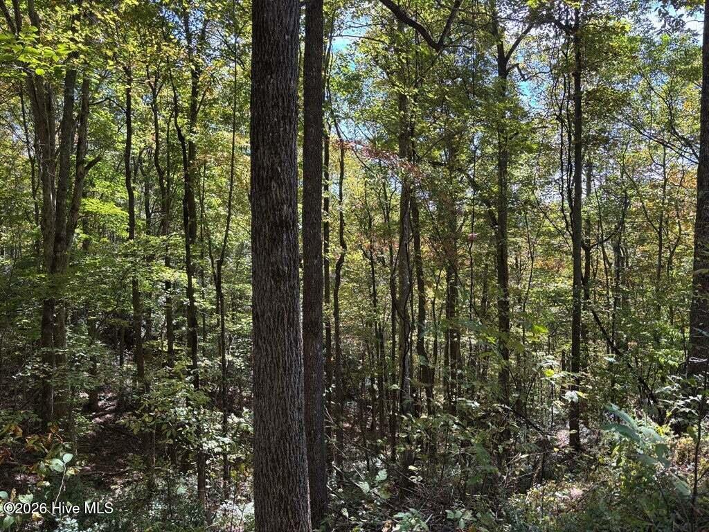 Photo of 2 Holly Ridge Drive, Topton, NC 28781 (MLS # 100604456)